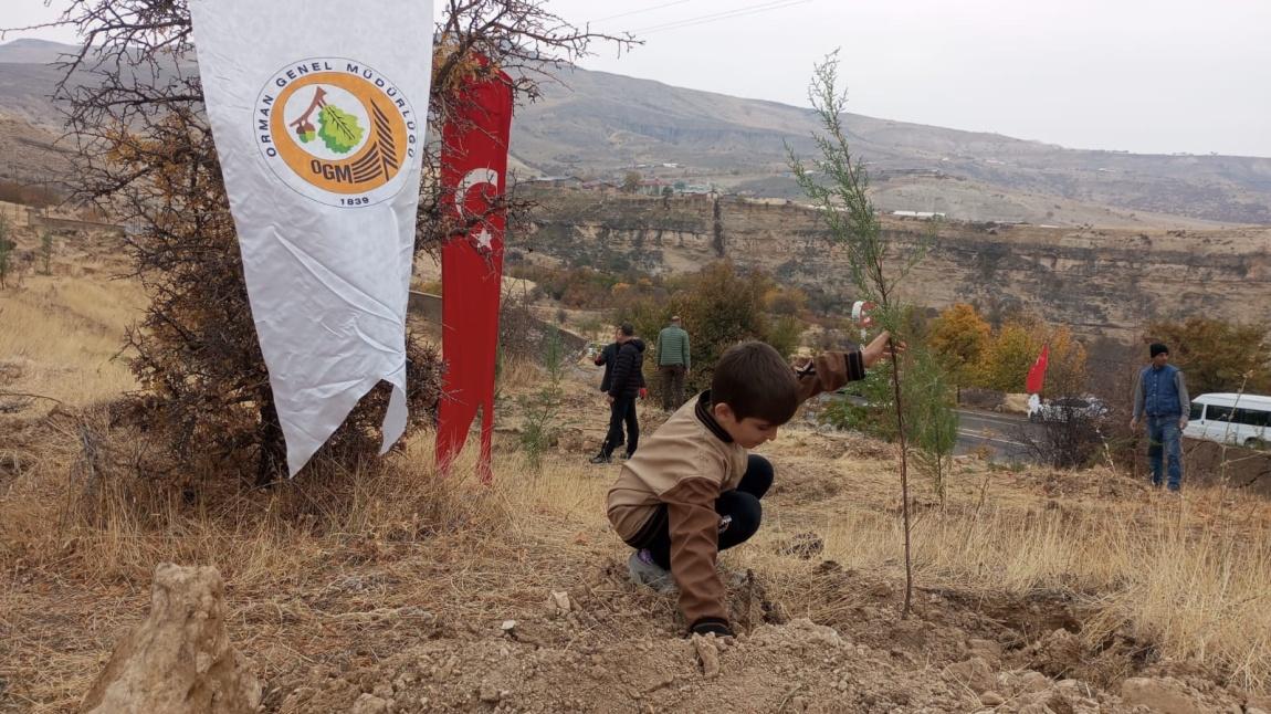 11 KASIM MİLLÎ AĞAÇLANDIRMA GÜNÜ